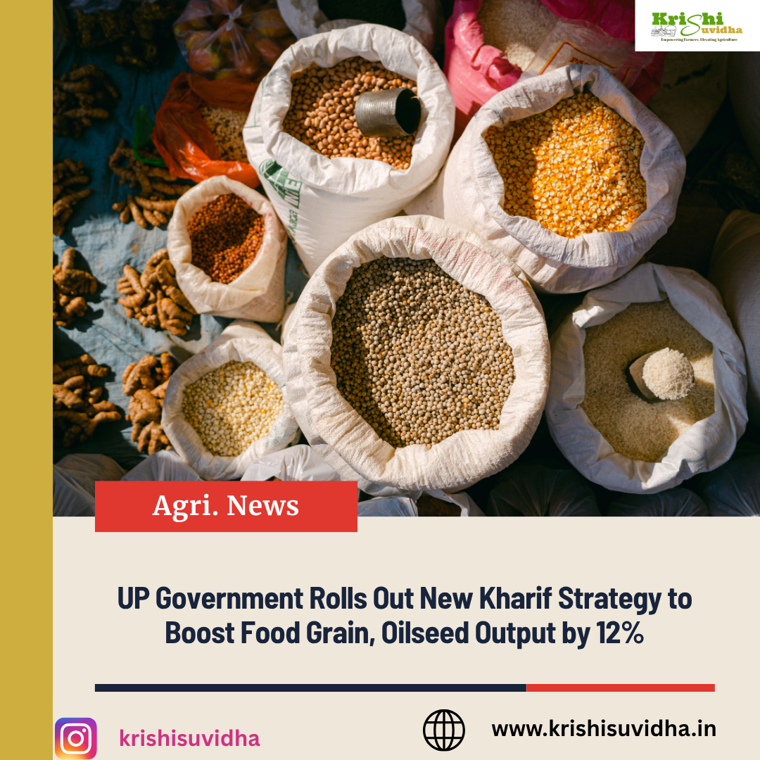 UP Government Rolls Out New Kharif Strategy to Boost Food Grain, Oilseed Output by 12%