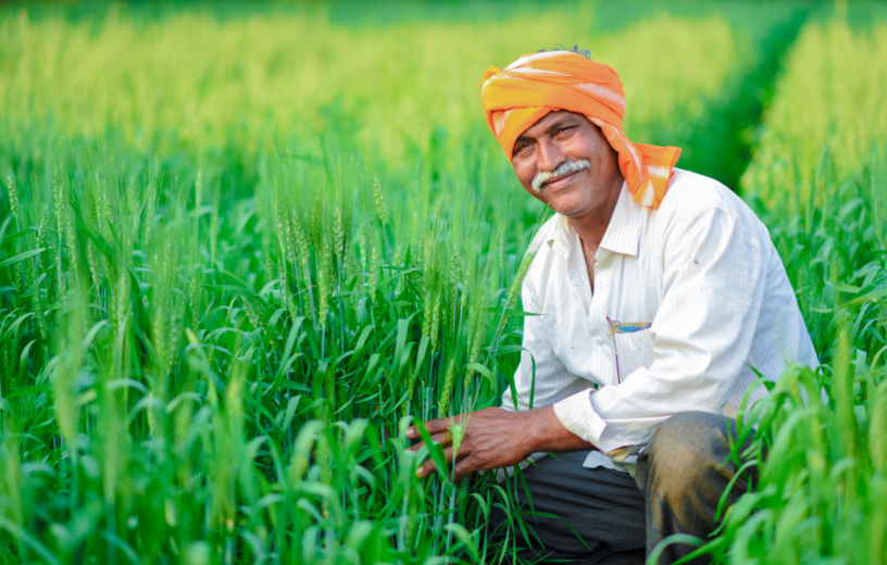 Government to Release PM-Kisan 20th Installment Soon! Update Your Mobile Number & Complete e-KYC Now 1 annadatta
