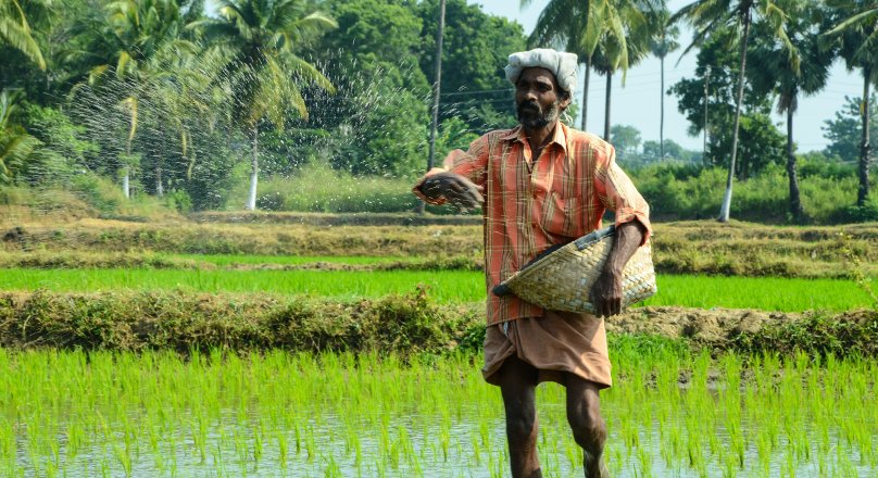PM-KISAN 20th Installment to Be Released Next Week: Complete Your e-KYC Today! 1 farmers