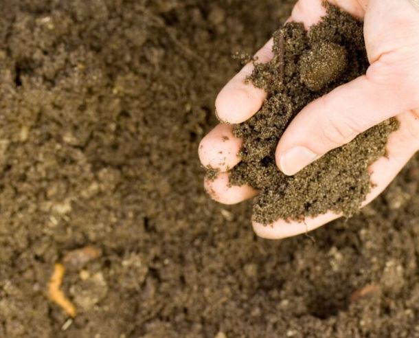Boost Your Agri-Business Skills: Join ICAR-IARI’s Soil & Water Testing Training, Limited Seats Available! 1 soil
