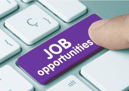 BIG OPPORTUNITY! IBPS Recruitment 2025: Apply for 310 Agriculture Field Officer (AFO) Posts 1 jobs new
