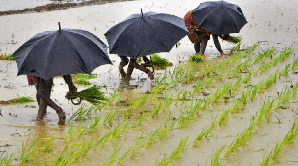 Monsoon Update: India Set for Above-Normal July Rainfall, Boosting Agriculture and Economic Outlook 1 rain