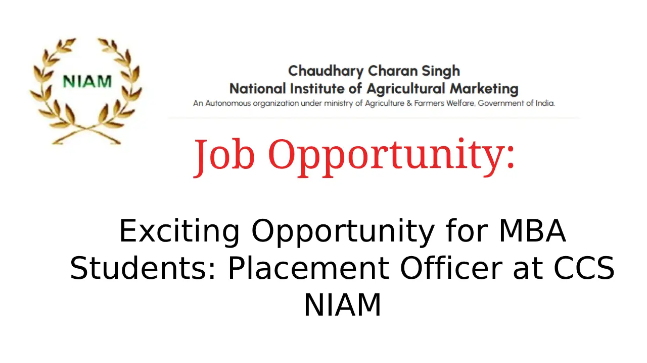 placement officer at ccs niam