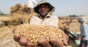 Good News! Centre Approves Rs. 6,520 Crore Boost for PM Kisan Sampada Yojana