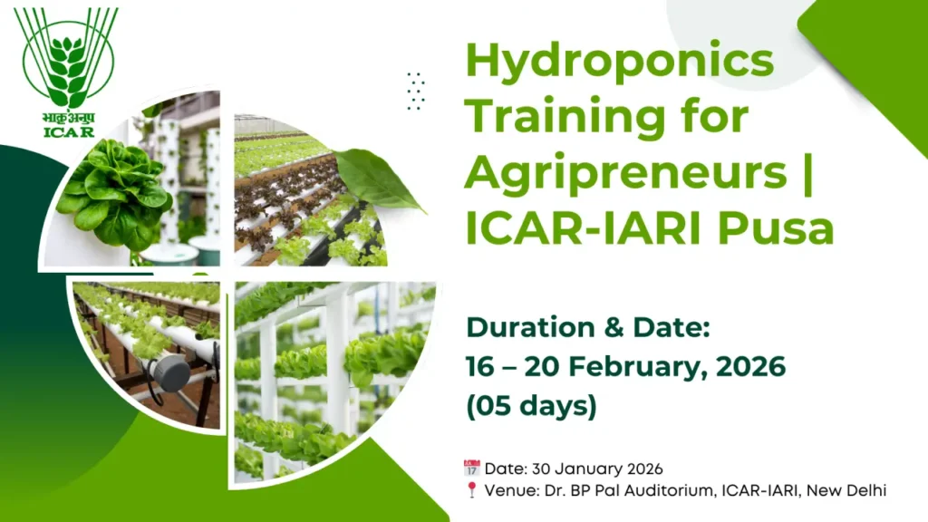 Hydroponics Training for Agripreneurs | ICAR-IARI Pusa