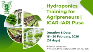 Start-Up Hydroponics Training | ICAR-IARI