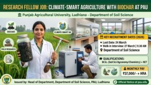 PAU Recruitment 2026: Research Fellow Vacancy, ₹37,000 Salary, Apply Before 24 March