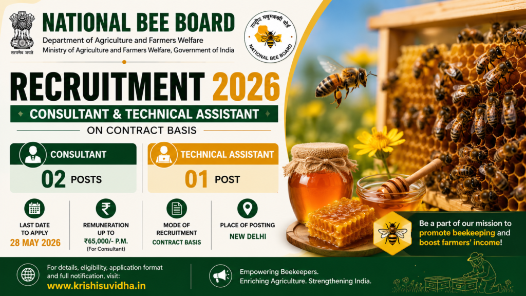 national bee board