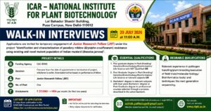 JRF @ ICAR-NIPB 2026 – Powdery Mildew Resistance 