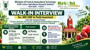ICAR-IARI Division of Fruits & Horticultural Technology invites applications for JRF/SRF (01) & Field Assistant (02) under DBT Pomegranate project. M.Sc Horticulture/Genetics/Biotech & Graduate eligible. Apply by 28 September 2026.