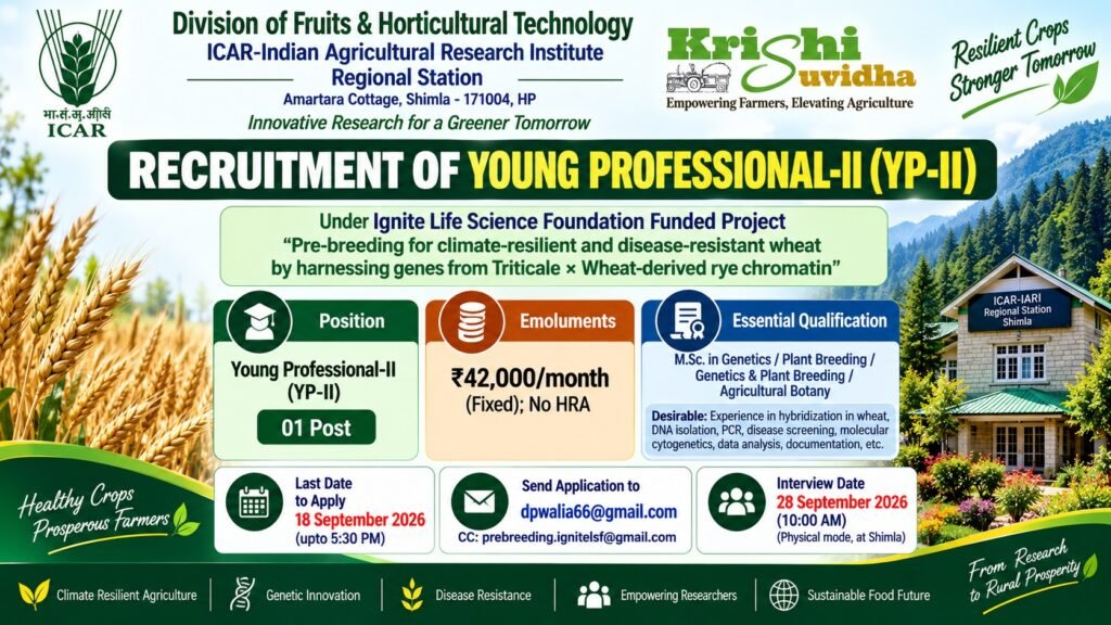 icar-iari-shimla-ypii-wheat-2026