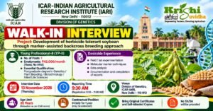 ICAR-IARI YP-II Walk-in 2026 | ₹42,000/mo | 13 Nov