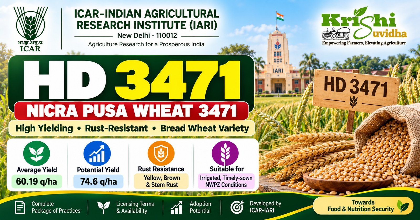 HD 3471 Wheat Variety: Rust-Resistant, 74.6 q/ha Yield | ICAR-IARI